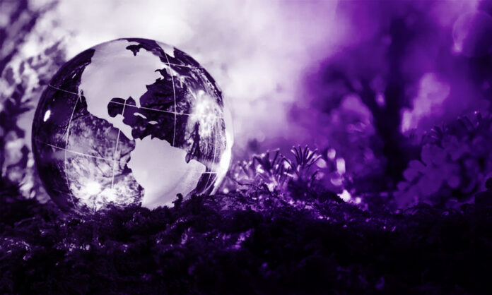 Ecology: On Paradigm and Activism