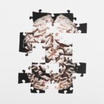 95c2165a-f814-4627-904b-65088a43b6c6