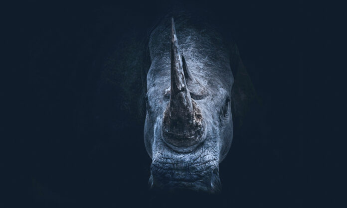 Photo by Geranimo on Unsplash